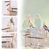 RoseFlower Wooden Bird Playground Parrot Playstand, Bird Perches Stand for