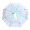 Fdit 1 x Printed Cherry Blossom Pattern Transparent Folding Umbrella,