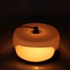 LED Mini Electric Flea Catcher Plastic Safe Practical Electric Insect
