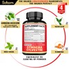 Premium Gymnema Sylvestre Extract Supplement - 4 Herbs Equivalent To