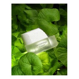 Crema Reafirmante Coreana Antiarrugas Antiedad Skincare                                                                                               