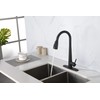 KUIKUI Kitchen Faucet with 20" Pull Down Sprayer, Single Lever