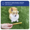 Downtown Pet Supply Thin Junior Bully Sticks (6" - 12
