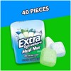 EXTRA Refreshers Mint Mix Gum, 3.21-Ounce 40-Piece Bottle (Pack of