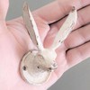 Fyne-Finds Set of 2 Rustic Hare Easter Bunny Coat Hat