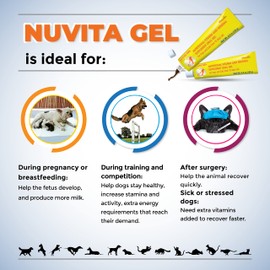 VEMEDIM, Premium Nutritional and Vitamin Gel for Dogs and Cats - Enhance Health, Boost Appetite, and Energize! Suitable for All Breeds and Life Stages - Multivitamin Gel 4.2 oz (120 g)