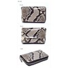 Berkut Diamond Python Coin Purse, Glossy YKK Zip, Feng Shui