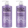 Elastin Scalp Clinic Deep Cleansing Mildly Acidic Shampoo Fresh Peppermint Scent, 2 bottles, 950ml / 엘라스틴 스칼프 클리닉 두피 딥클렌징 약산성 샴푸 프레쉬 페퍼민트 향, 2개, 950ml