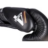 Boxing Gloves "4Select" Leather Black 14 oz