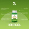 Aceite De Oregano, 100 Cápsulas, Calidad Premium