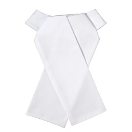 Ovation Women's Classic Ready-Tied/Untied Stock Tie, White, M