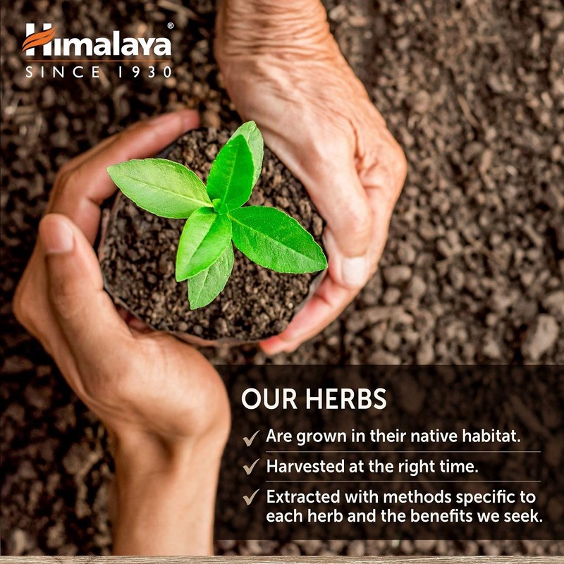 Himalaya UriCare – Herbal Kidney & Bladder Support with Shilajeet,