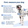 PetSafe Easy Walk Harness | No-Pull Leash Training Dog Harness