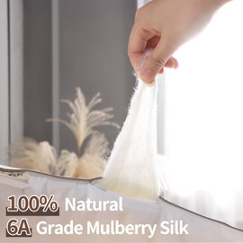 YOUR MOON Pure Mulberry Silk Comforter Queen Size for All Season,100% Natural Long Strand Silk Fill Duvet, Luxury Bedding, Noiseless Cotton Shell (White)