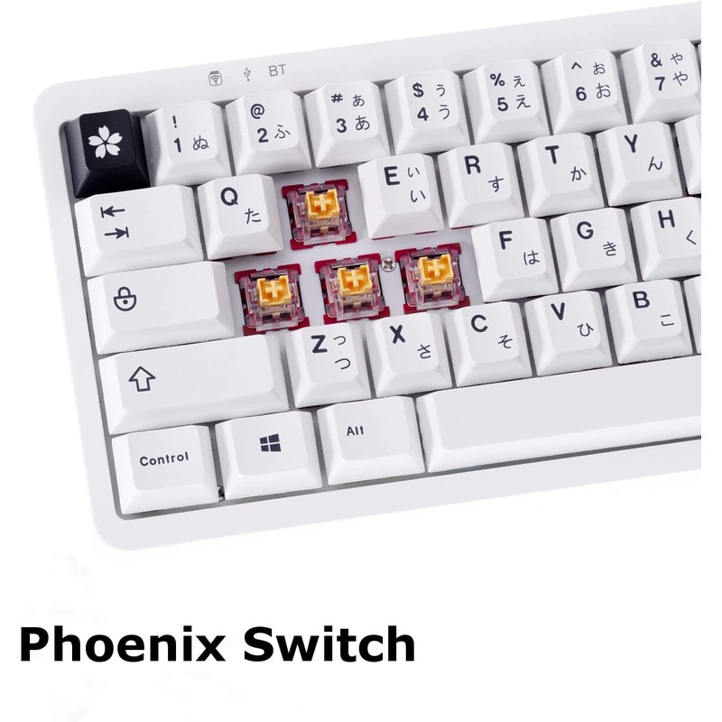 GK GAMAKAY Silent Linear Mechanical Keyboard Switch, 70Pcs/Pack GamaKay Phoenix
