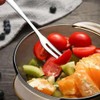 8Pack SUS304 Stainless Steel Mini Fruit Fork,Two Prong Fork, Appetizer