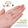 NUOBESTY 2Pcs Miniature Fish Bowls Dollhouse Empty Goldfish Fish Bowl