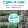 Geongangmeogeum 브로멜라인 파인애플 효소 파파인 퀘르세틴 프리미엄 정 2병(4개월분) Bromelain