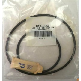 Bendix O-Ring Kit for AD9 Dryers pn 065229