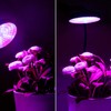 USB Remote Control Timing Plant Light Waterproof Full Spectrum Succulent
