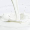 MBP 유단백 추출물 분말 200g 2통 MBP Whey Protein Extract