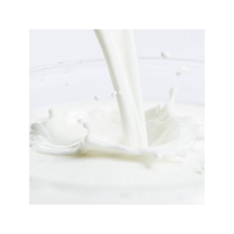 MBP 유단백 추출물 분말 200g 2통 MBP Whey Protein Extract