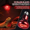 VIHOSE 6 Pack 100 W Reptile Heat Lamp Red Bulb