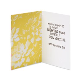 American Greetings Funny Mothers Day Card (The Whole Parenting Thing)