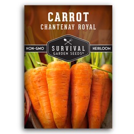 1 Pack Chantenay Royal Carrot Seed for Planting - Packet with Instructions to Grow Long Storing Medium Small Carrots in Your Home Vegetable Garden - Non-GMO Heirloom Variety - Survival Garden Seeds