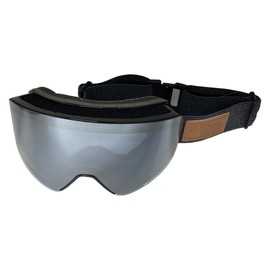 Rare Silver Snow Goggles