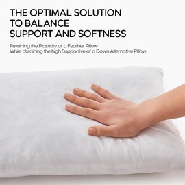 Swandream Feather Throw Pillow Insert, Soft Fluffy Square 18 x 18 Inches Decorative Pillow Insert, Feather and Down Euro Pillows for Bed, Couch and Cushion