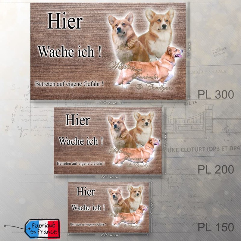Warnschild Hund oder Warnzeichen Welsh Corgi Pembroke 20 cm