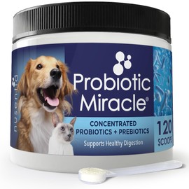 Probiotics for Cats & Dogs : Probiotic Miracle : Bowel & Gut Support : Digestive Health : Stop Diarrhea, Loose Stool