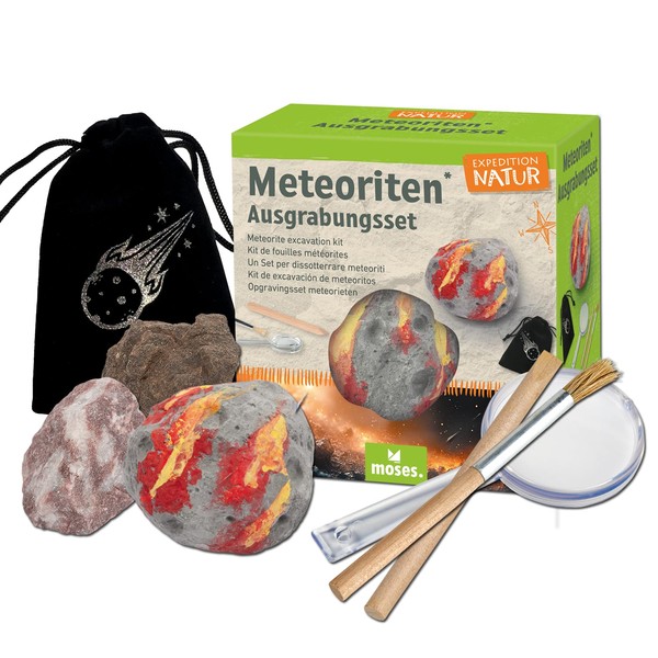 Moses. Expedition Nature Meteorite Excavation Kit, Plaster Block with 2
