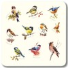Garden Birds Melamine Coasters - Set 1, Pack of 6