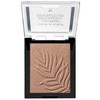 Wet n Wild Color Icon Bronzer Soft Gel Enriched Bronzer