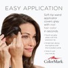 ColorMark Gray Gone Liquid Root Touch Up Hair Color (Light