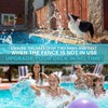 Poolzilla 50 Pack White Pool Safety Fence Hole Cover |