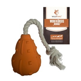 Wildfang® Toy for Dogs 100% Natural Rubber – Almost Indestructible – Snack Ball – Teether – Chew Toy Dogs – Non-Toxic – Chew Bone Dogs – BPA-Free – Environmentally Friendly (Throwing Pumpkin Winnie
