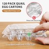 120 Pack Quail Egg Cartons 12 Grid, Heavy Duty Snap