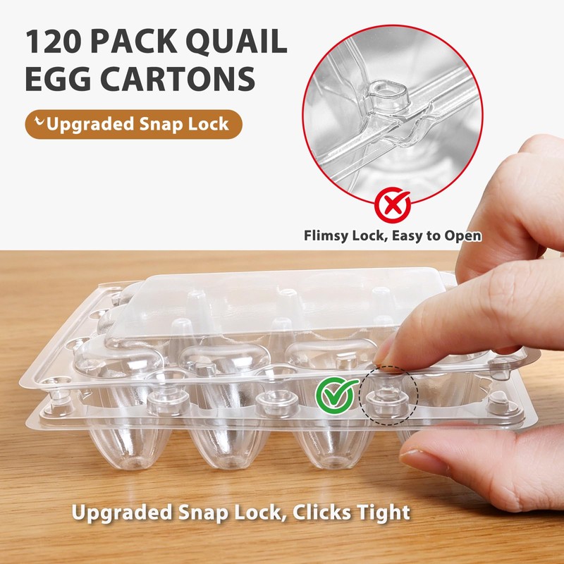 120 Pack Quail Egg Cartons 12 Grid, Heavy Duty Snap