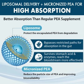 Ulmubra Pea Liposomal 1300 Mg 60 Cpsulas                                                                                                              