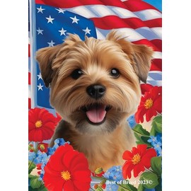 Norfolk Terrier - Best of Breed All-American Patriotic I Garden Flags