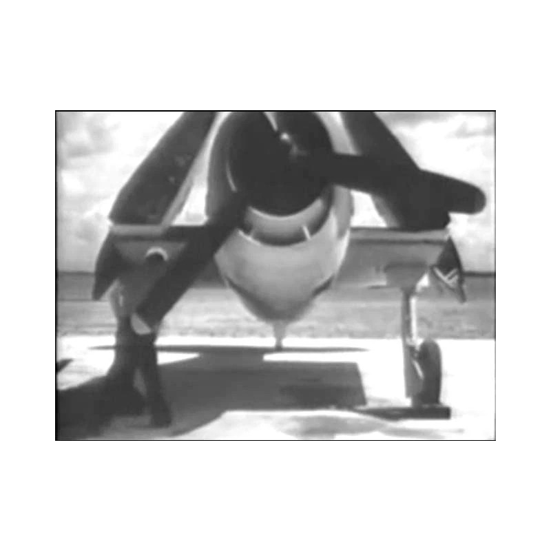 Navy Grumman F4F Wildcat and F6F Hellcat USN WW2 Zero