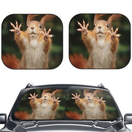 KiuLoam Squirrel Funny Animal Meets Car Windshield Sun Shade Auto Foldable 2pcs Window Sunshades for Most Windshield Fodable Sun Visor Protector Car Front Window Protective, Large