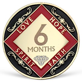 6 Months NA Medallion Six Months Recovery Chip for NA AA 12 Step Narcotics Anonymous Coin Anniversary Token Clean and Sober Gifts for Men Women Celebrating Sobriety and Addiction Recovery