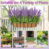 Halatool 36" Coco Liners for Planters, 2 Pack Coconut Fiber