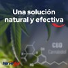 Nirvedol Frío