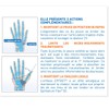 Hallux valgus Korrekturorthese mit Doppelschutz links (L)