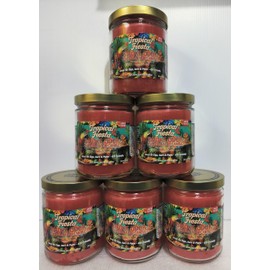 Smoke Odor Exterminator 13oz Jar Candle, Tropical Fiesta 6 Pack.
